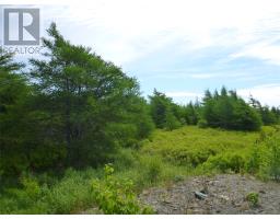 31 Woods Road thumbnail 15