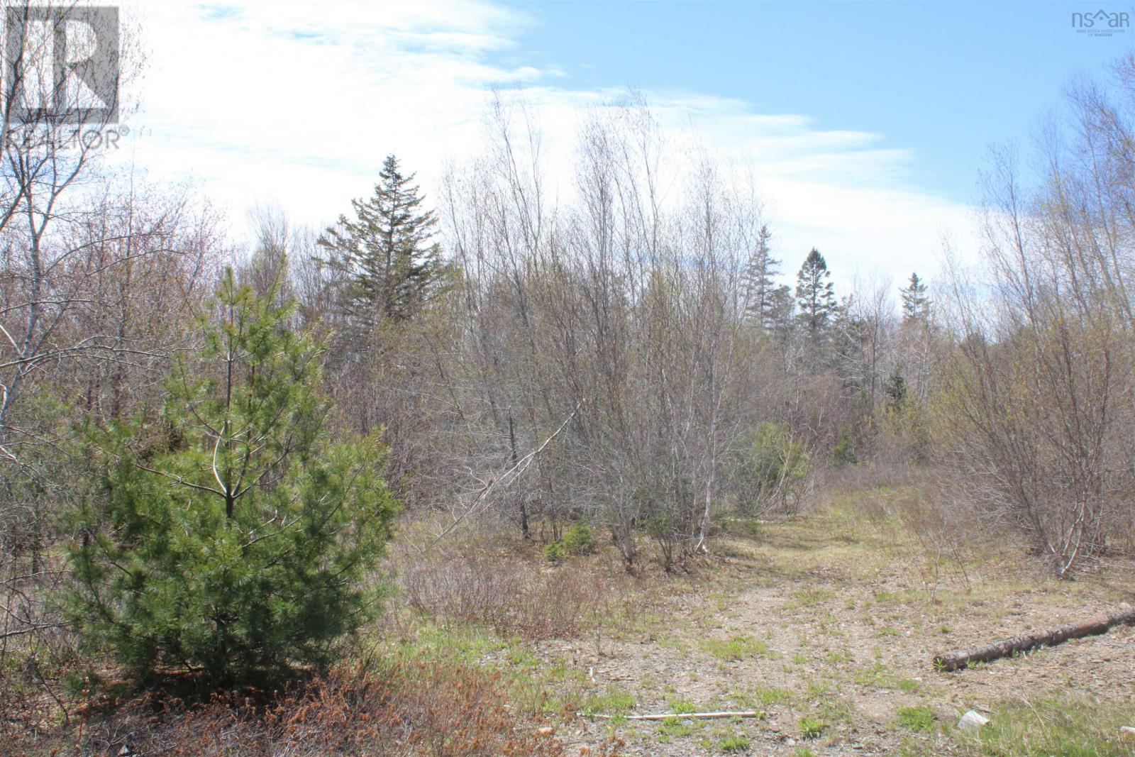 Property 12 of 13 of Lot 1 Mary Jane Riley Road