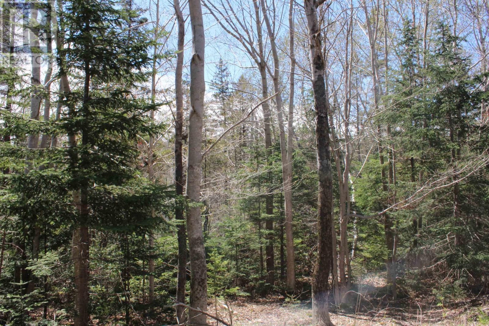 Property 8 of 13 of Lot 1 Mary Jane Riley Road