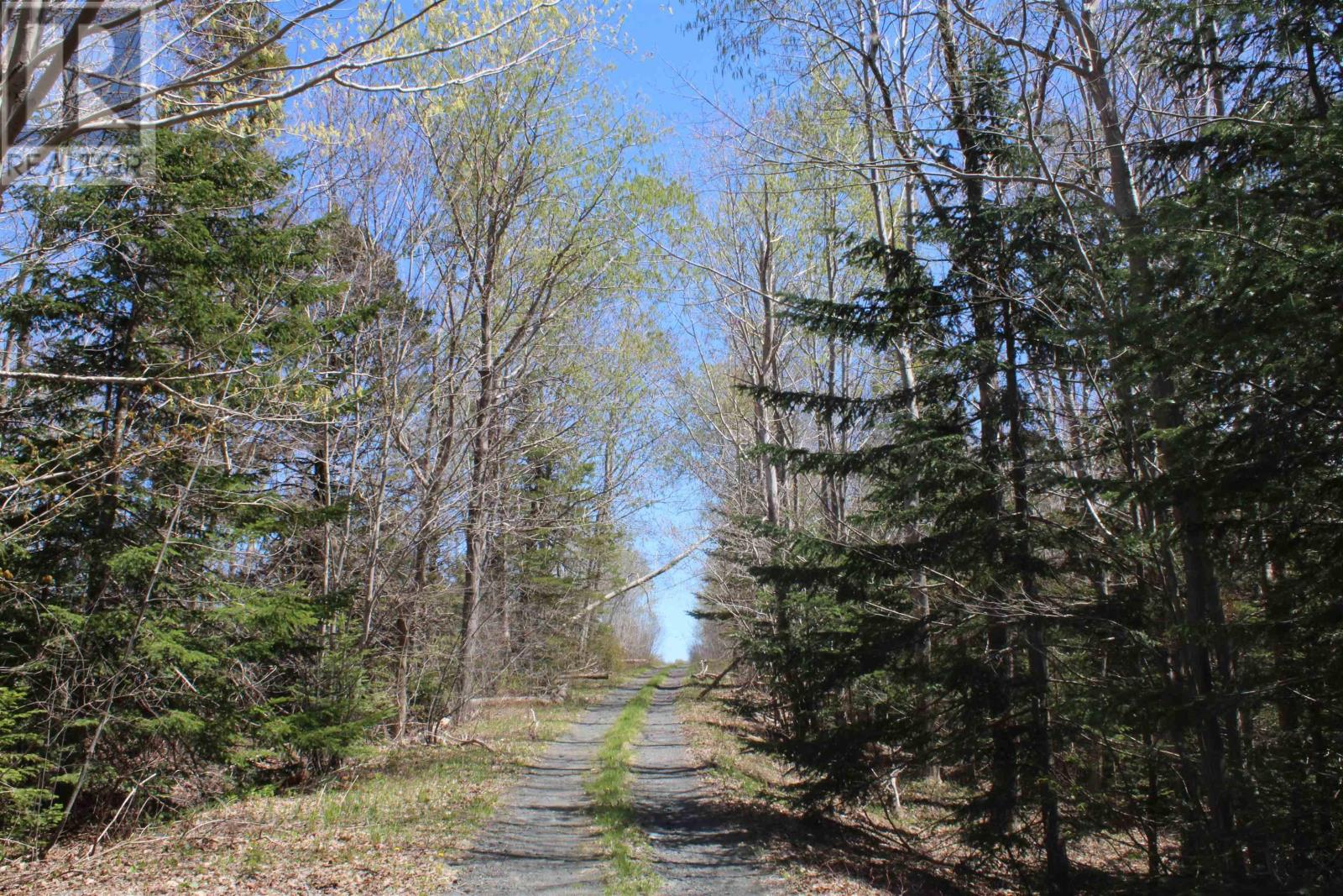 Property 6 of 13 of Lot 1 Mary Jane Riley Road