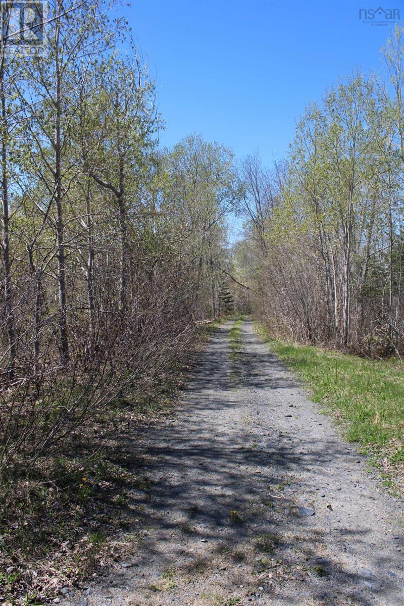 Property 7 of 13 of Lot 1 Mary Jane Riley Road