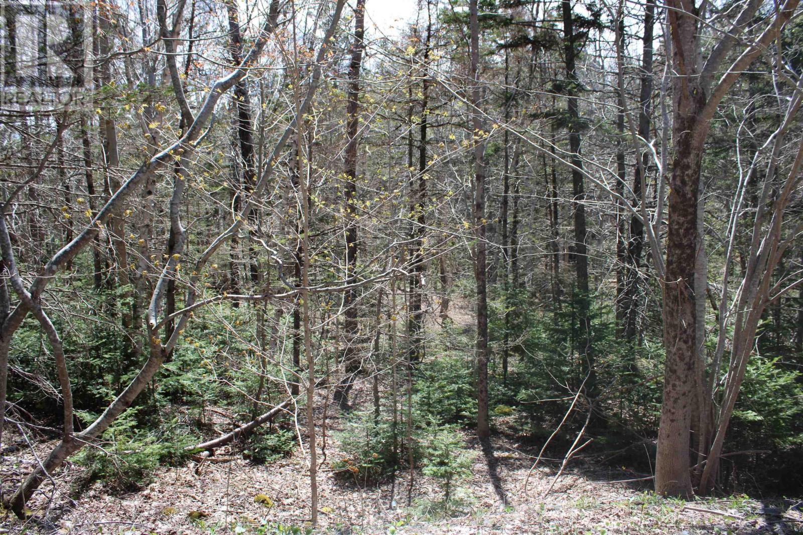 Property 11 of 13 of Lot 1 Mary Jane Riley Road