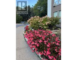 206 - 60 Pavane Linkway, Toronto, ON M3C1A1 Photo 39