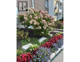 206 - 60 Pavane Linkway, Toronto, ON M3C1A1 Photo 40