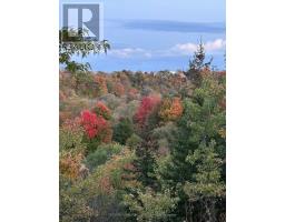 206 - 60 Pavane Linkway, Toronto, ON M3C1A1 Photo 43