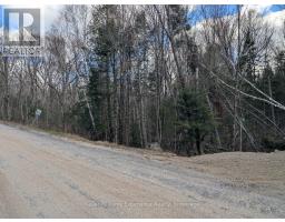 1392 Echo Ridge Road, Kearney, ON P0A1M0 Photo 11