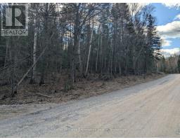 1392 Echo Ridge Road, Kearney, ON P0A1M0 Photo 12