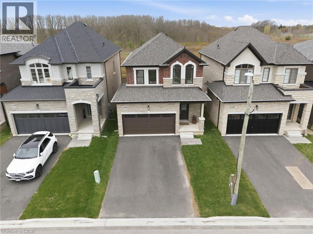 239 ALESSIO Drive - 3