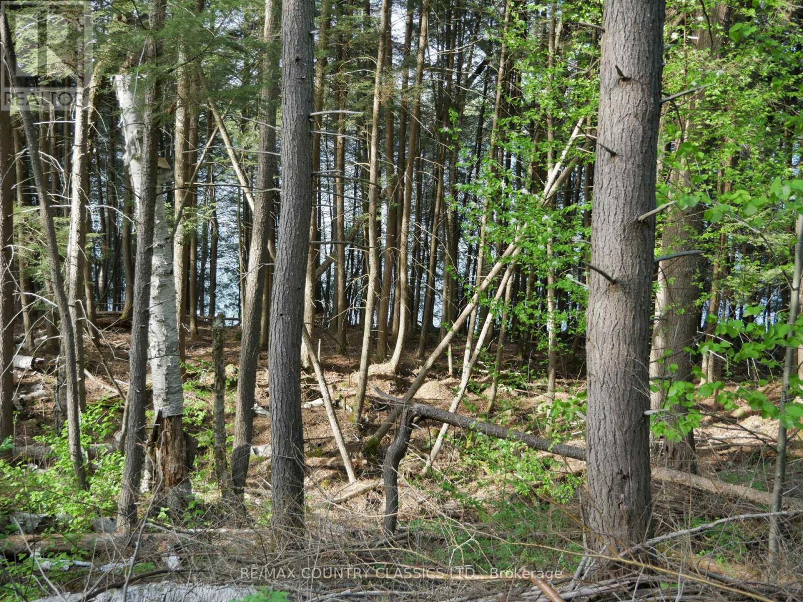 LOT #2 YAKABUSKIE ROAD