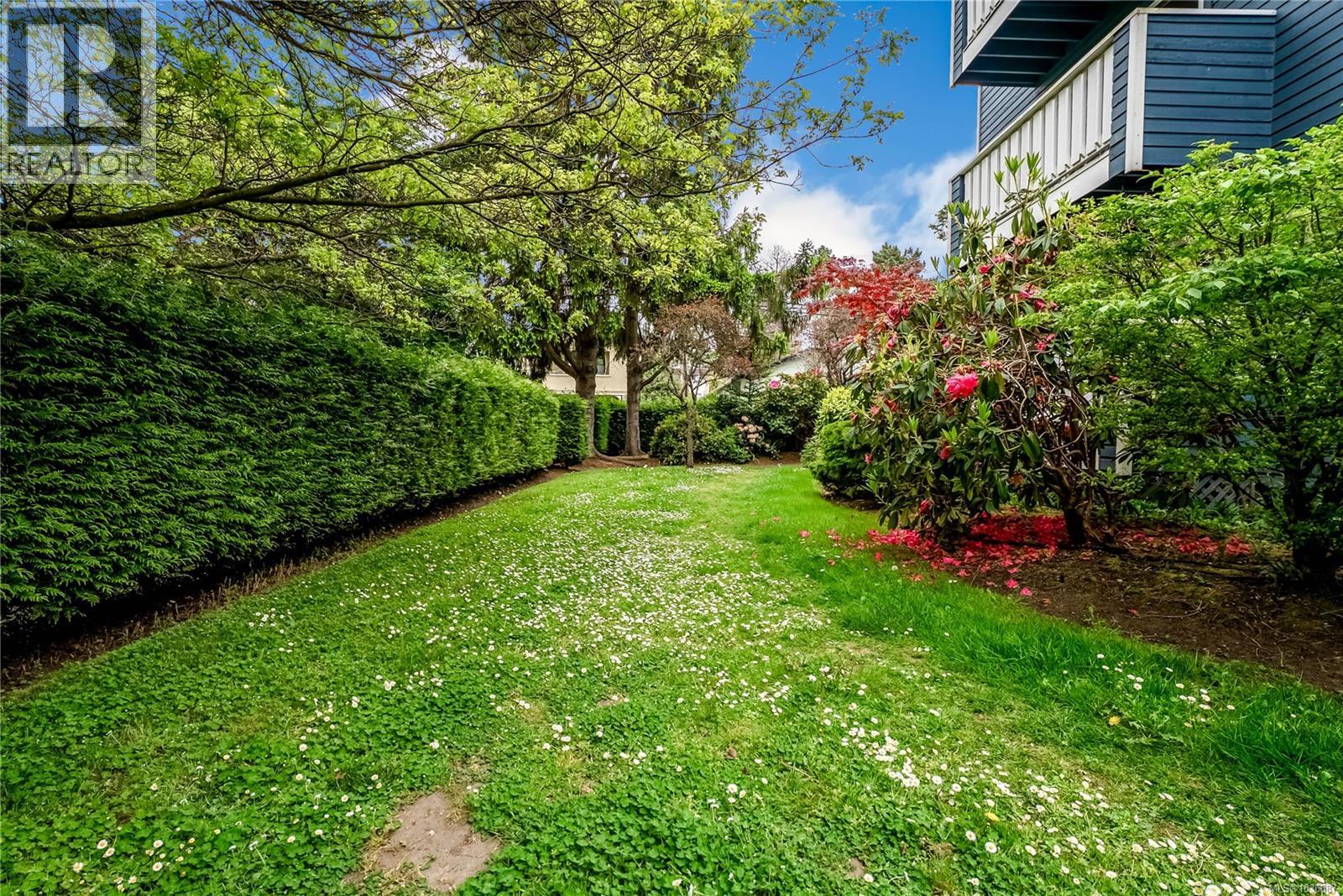 5 1331 Johnson Street, Victoria