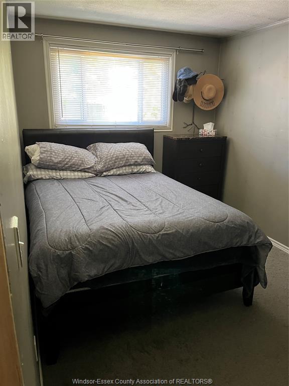 589 ELINOR, Windsor, Ontario, N8P1E3 — Photo 3