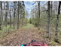, St. Andrews - 17637 Island Road E, South Stormont, ON K0C1S0 Photo 38