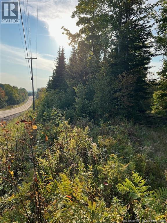 Lot 24-2 Route 3, Harvey — photo 2