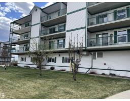 #303 4004 47 St, Drayton Valley, AB T7A0A2 Photo 41