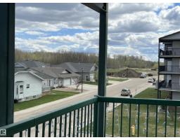 #303 4004 47 St, Drayton Valley, AB T7A0A2 Photo 27