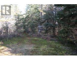 927 Con 4 & 5 Rd W, Huntsville, ON P0B1L0 Photo 9
