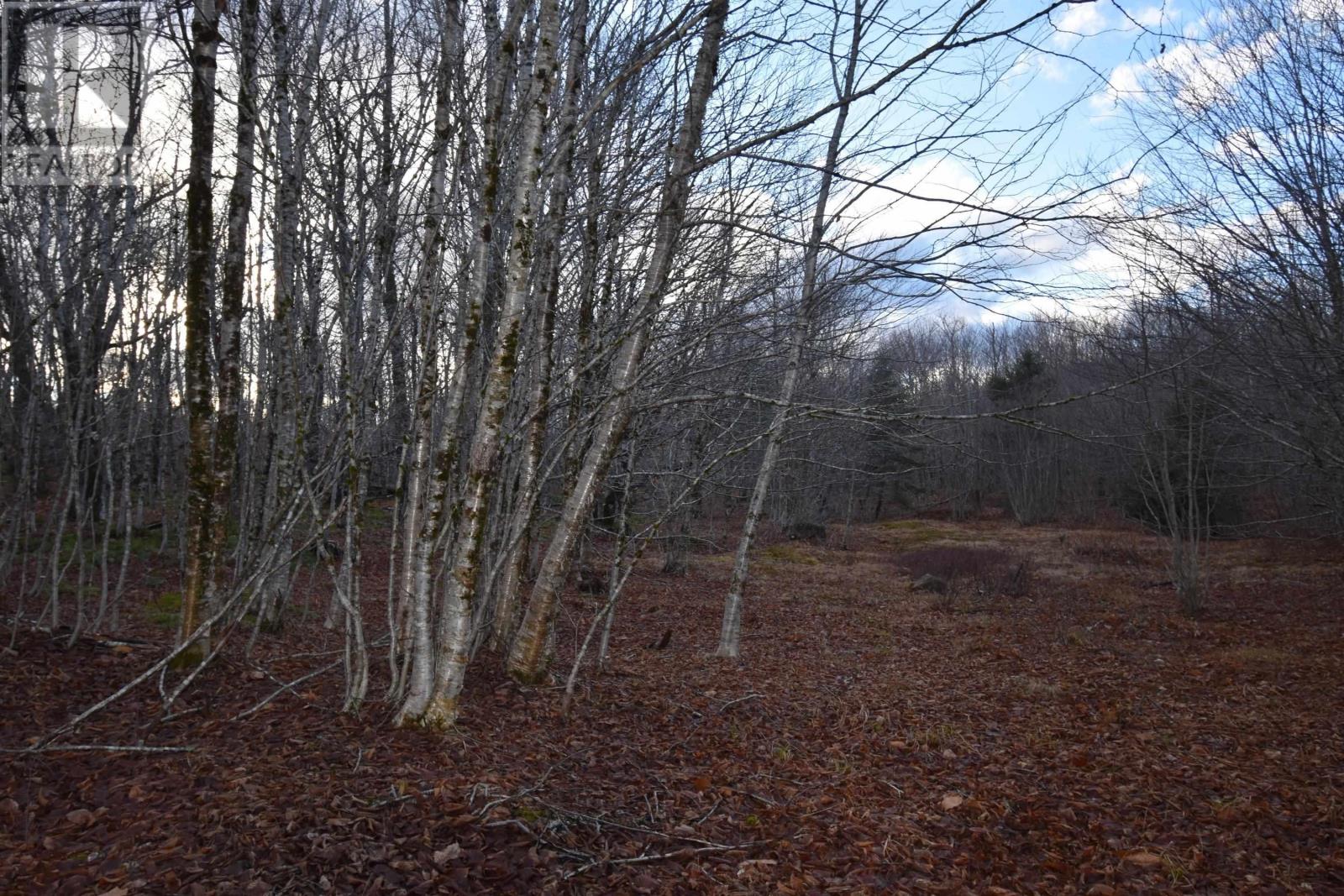 Property 3 of 8 of 68B 320 NUTTBY ACRES Road