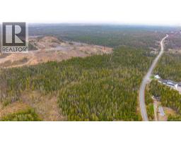 00 Route 172, Back Bay, NB E5C1X3 Photo 7