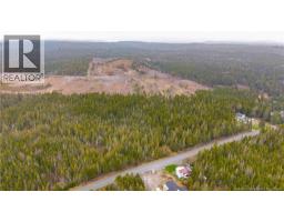 00 Route 172, Back Bay, NB E5C1X3 Photo 19
