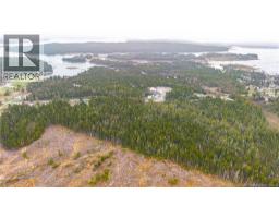00 Route 172, Back Bay, NB E5C1X3 Photo 11