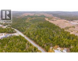 00 Route 172, Back Bay, NB E5C1X3 Photo 16