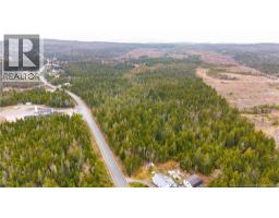 00 Route 172, Back Bay, NB E5C1X3 Photo 15