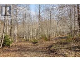 2745 Shaver Rd, Coombs, BC V9K1Y3 Photo 14