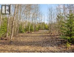 2745 Shaver Rd, Coombs, BC V9K1Y3 Photo 6