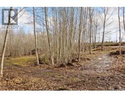 2745 Shaver Rd, Coombs, BC V9K1Y3 Photo 9