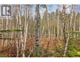 2745 Shaver Rd, Coombs, BC V9K1Y3 Photo 13