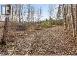 2745 Shaver Rd, Coombs, BC V9K1Y3 Photo 18