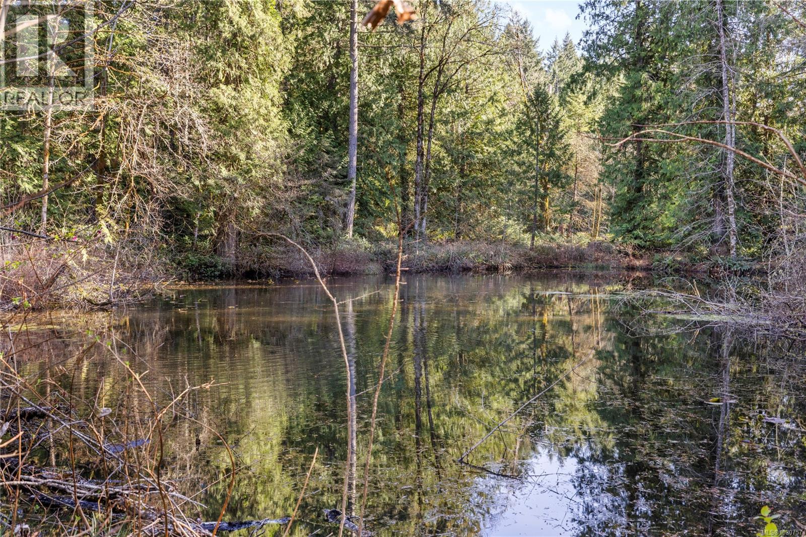 13475 Cedar Rd - 27