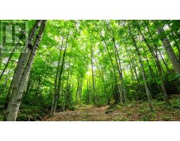Part 1 Tammy's Cove Road, Northern Bruce Peninsula, ON N0H1Z0 Photo 10