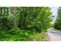 Part 1 Tammy's Cove Road, Northern Bruce Peninsula, ON N0H1Z0 Photo 15