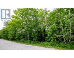Part 1 Tammy's Cove Road, Northern Bruce Peninsula, ON N0H1Z0 Photo 6