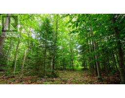 Part 1 Tammy's Cove Road, Northern Bruce Peninsula, ON N0H1Z0 Photo 8