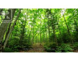 Part 1 Tammy's Cove Road, Northern Bruce Peninsula, ON N0H1Z0 Photo 9