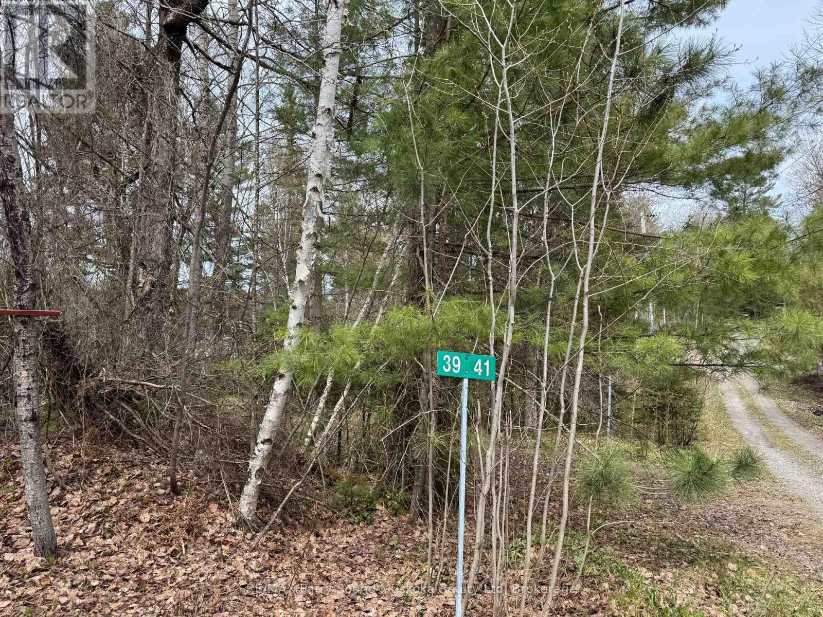 41-35 WEBER ROAD - 5