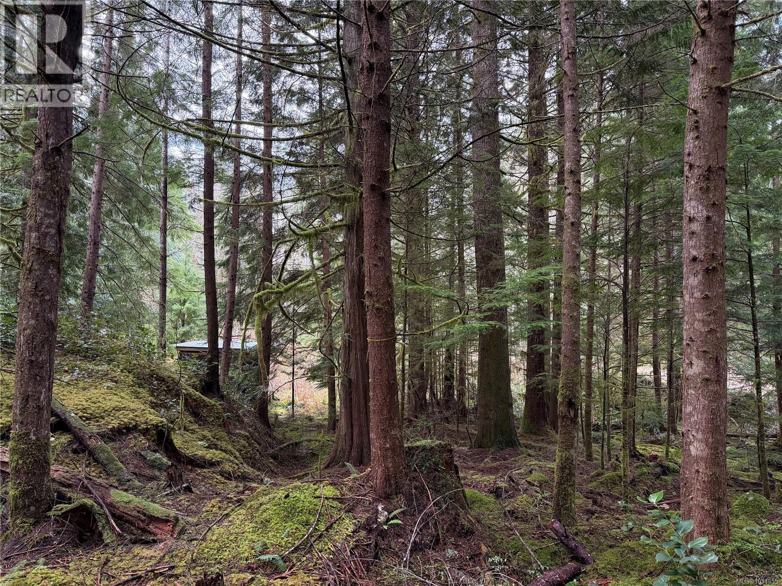 58 Busby Island - 31