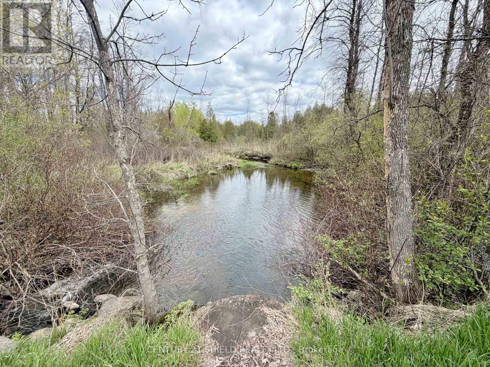 17637 ISLAND RD ROAD E - 35