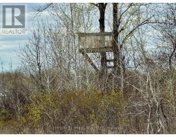 17637 Island Rd Road E, South Stormont, ON K0C1S0 Photo 34