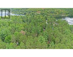 H10 - 240 Pinewood Park Road, Whitewater Region, ON K0J1Y0 Photo 34
