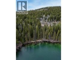 6062 Mahood Lake Road, 100 Mile House, BC V0K1X3 Photo 8