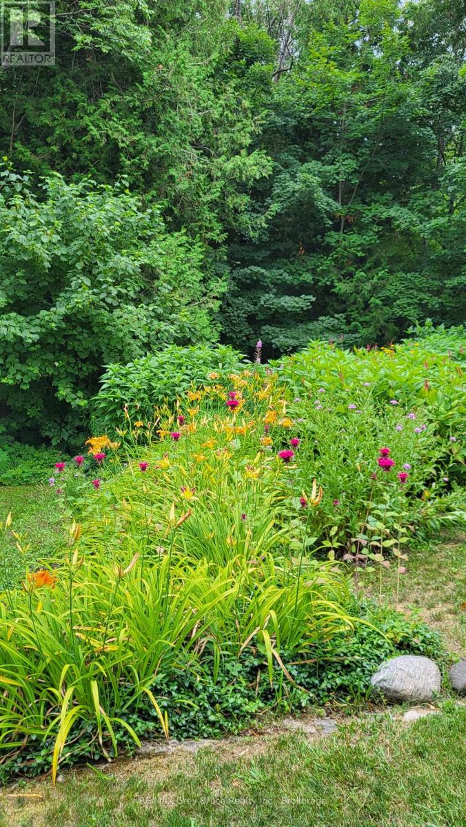 287 RUSH COVE ROAD - 46