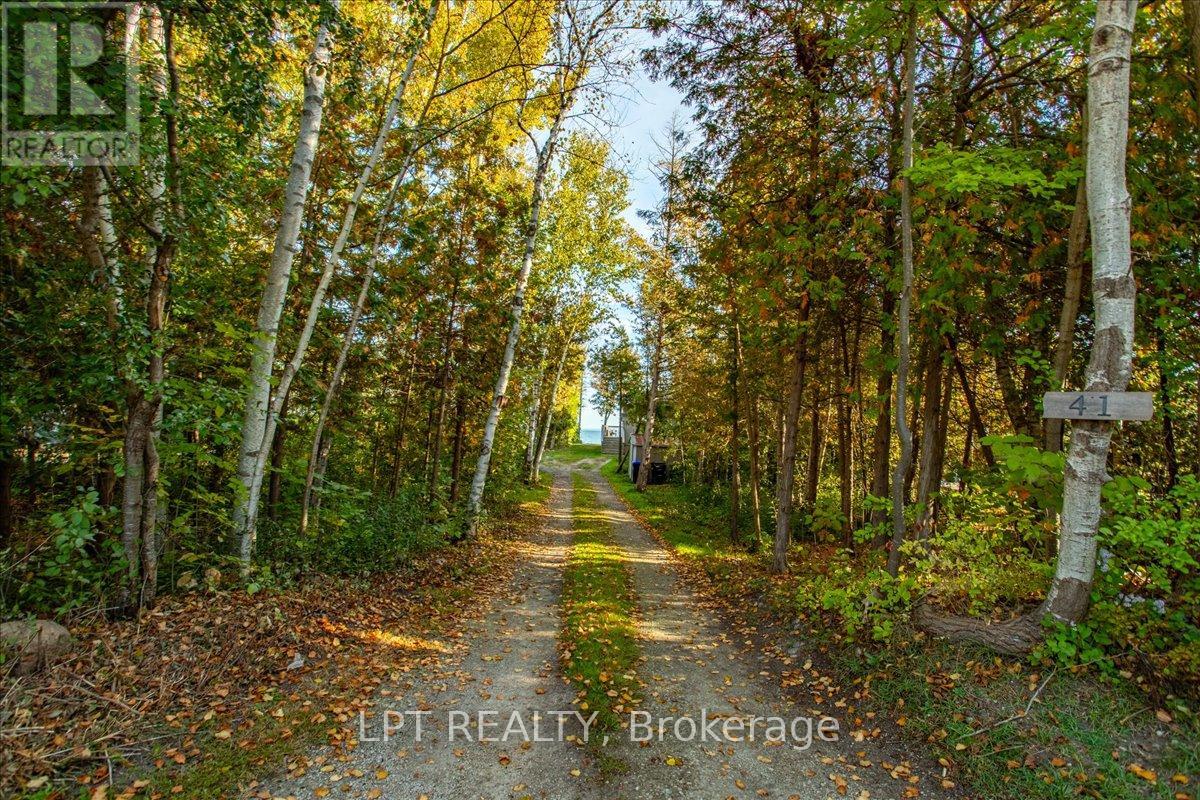 41 GLEN ROAD - 22