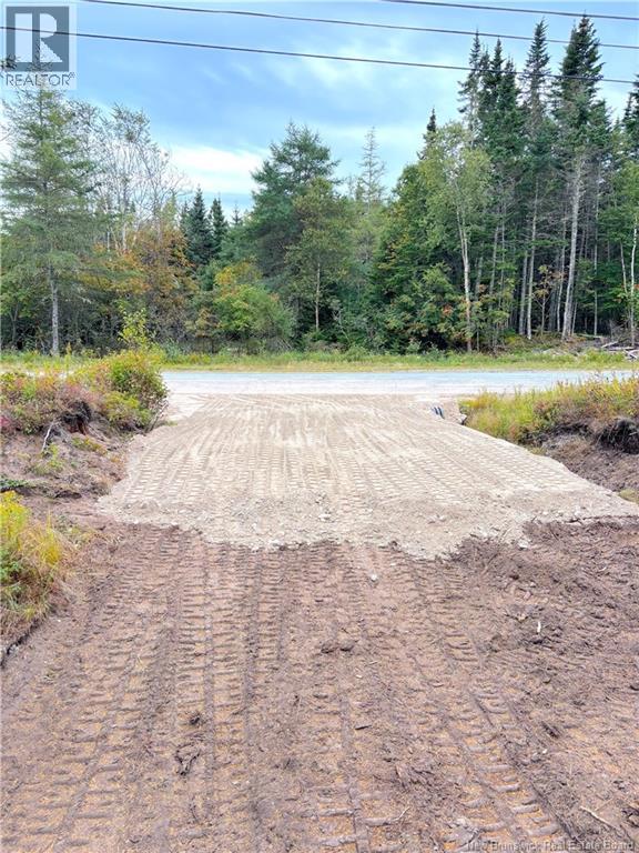 Mink Brook Road
