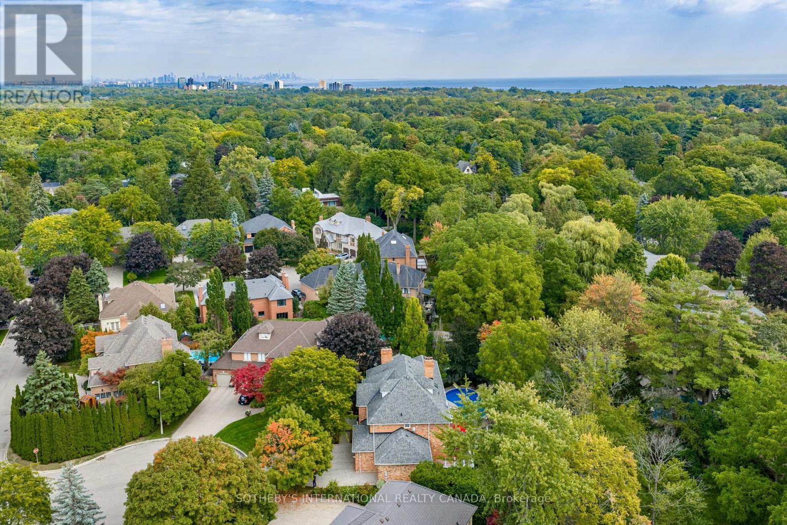 1379 MEADOW GREEN COURT - 47