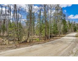 621 North Shore Rd Road, Lanark Highlands, ON K0G1M0 Photo 10