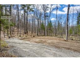 621 North Shore Rd Road, Lanark Highlands, ON K0G1M0 Photo 11