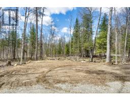 621 North Shore Rd Road, Lanark Highlands, ON K0G1M0 Photo 12